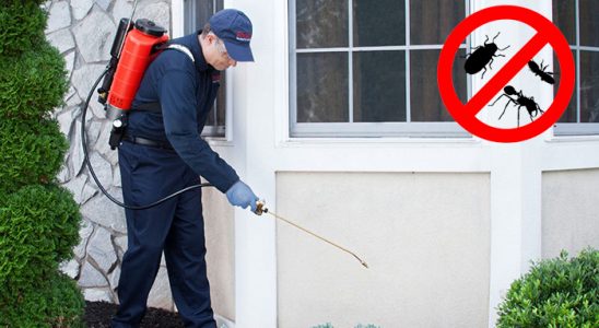Döşemealtı Akrep İlaçlama böcek ilaçlama ve haşere kontrolü — ilaclama-tr.com